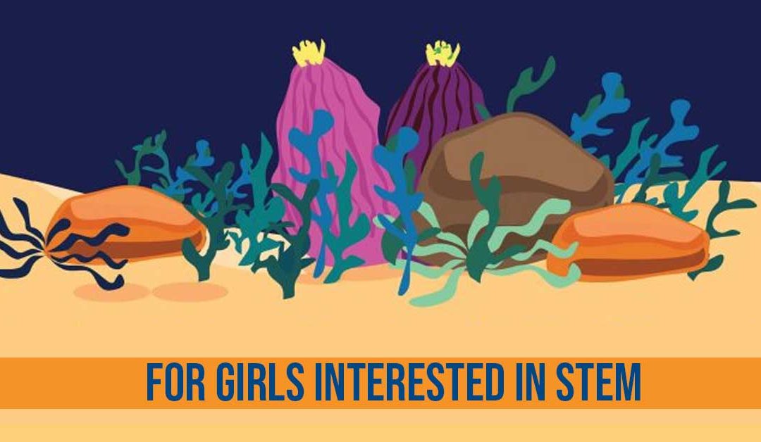 Girls interested in STEM, take note